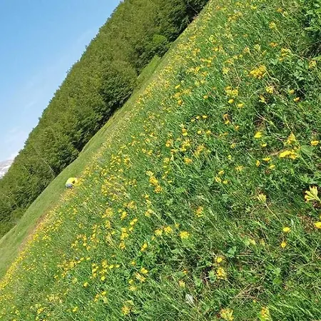 Holiday home Planinska Koliba Cemerno Gacko